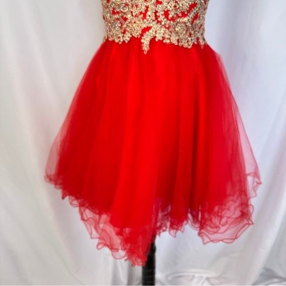 Damas By Tiffany Designs Beaded Dress GownSz Small Tulle Little Red Lace Corset - Picture 3 of 14